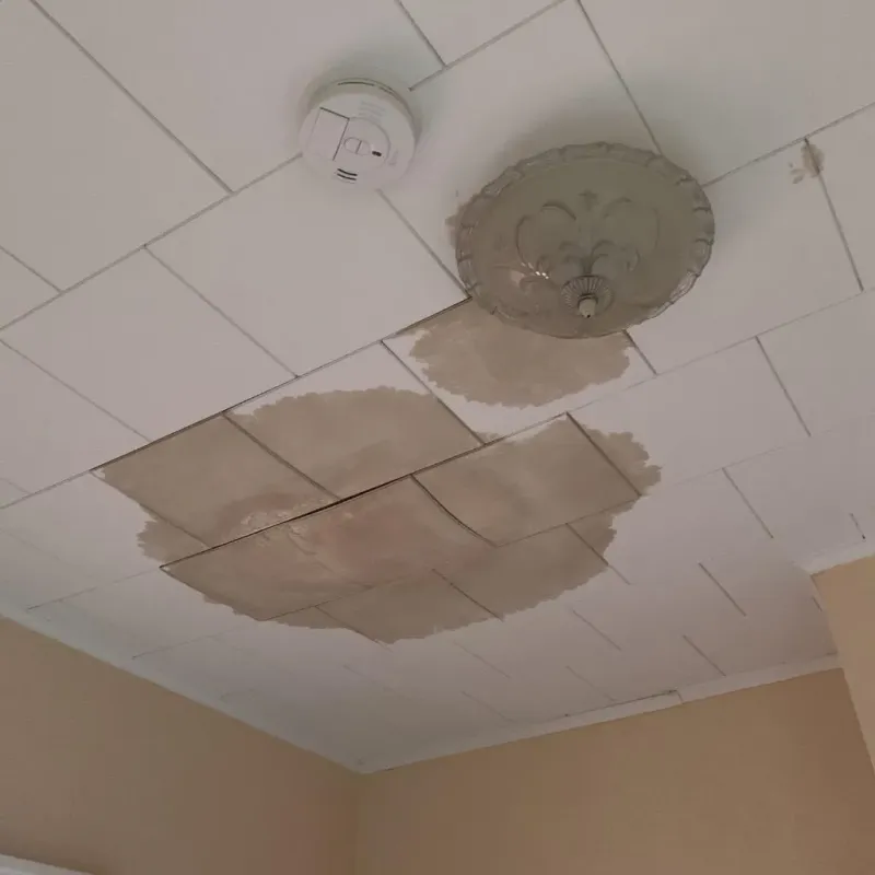 Ceiling Water Damage Repair in Chicora, PA